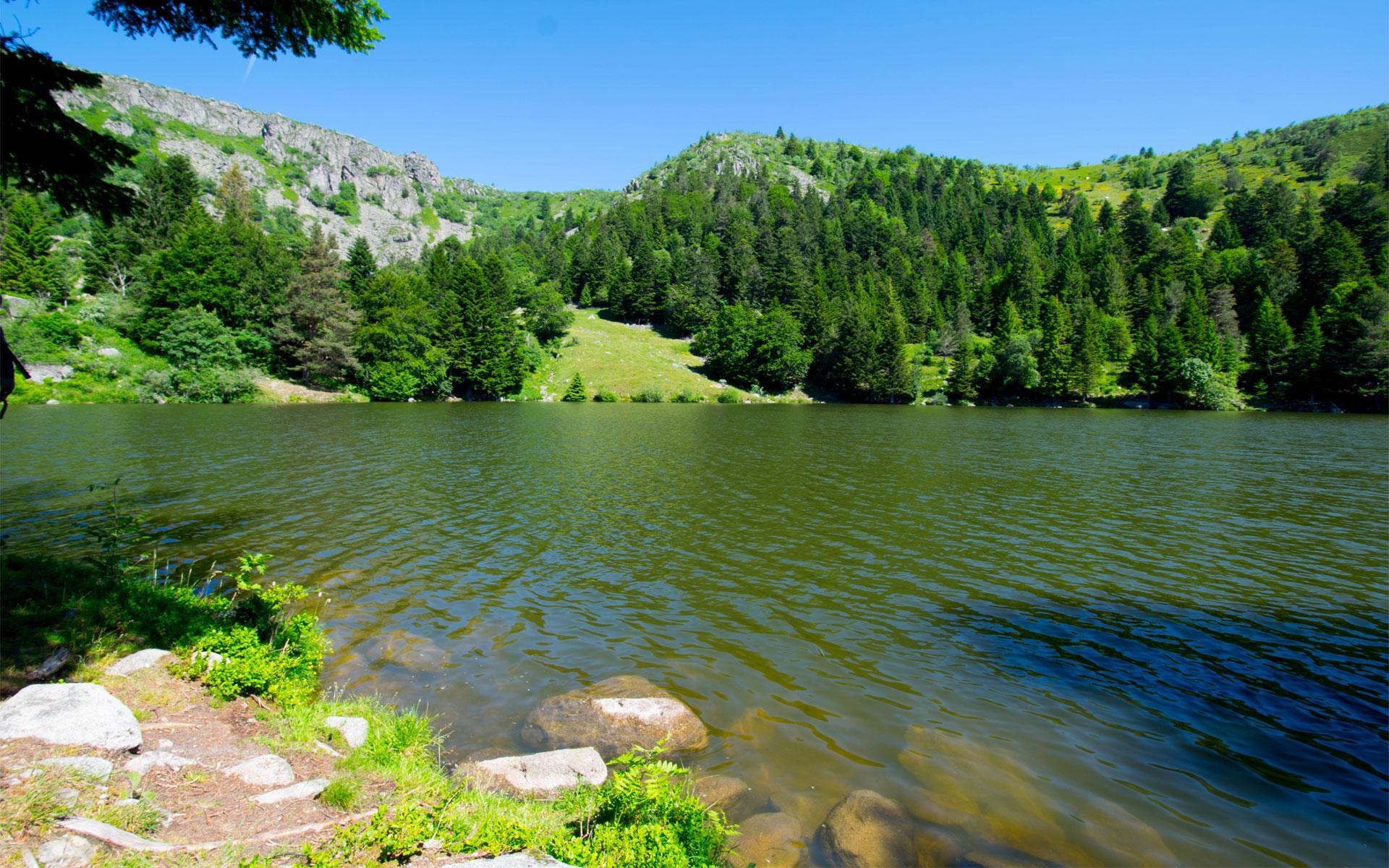 Sur la rives du lac de Forlet