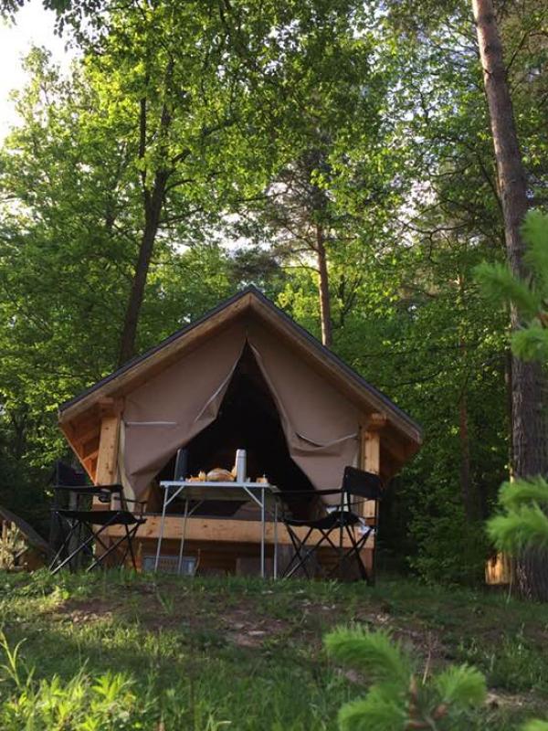 Extérieur de la hutte en bois au milieu des arbres